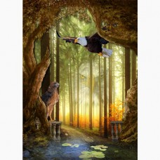  GREETING CARD Haven of the Eagle